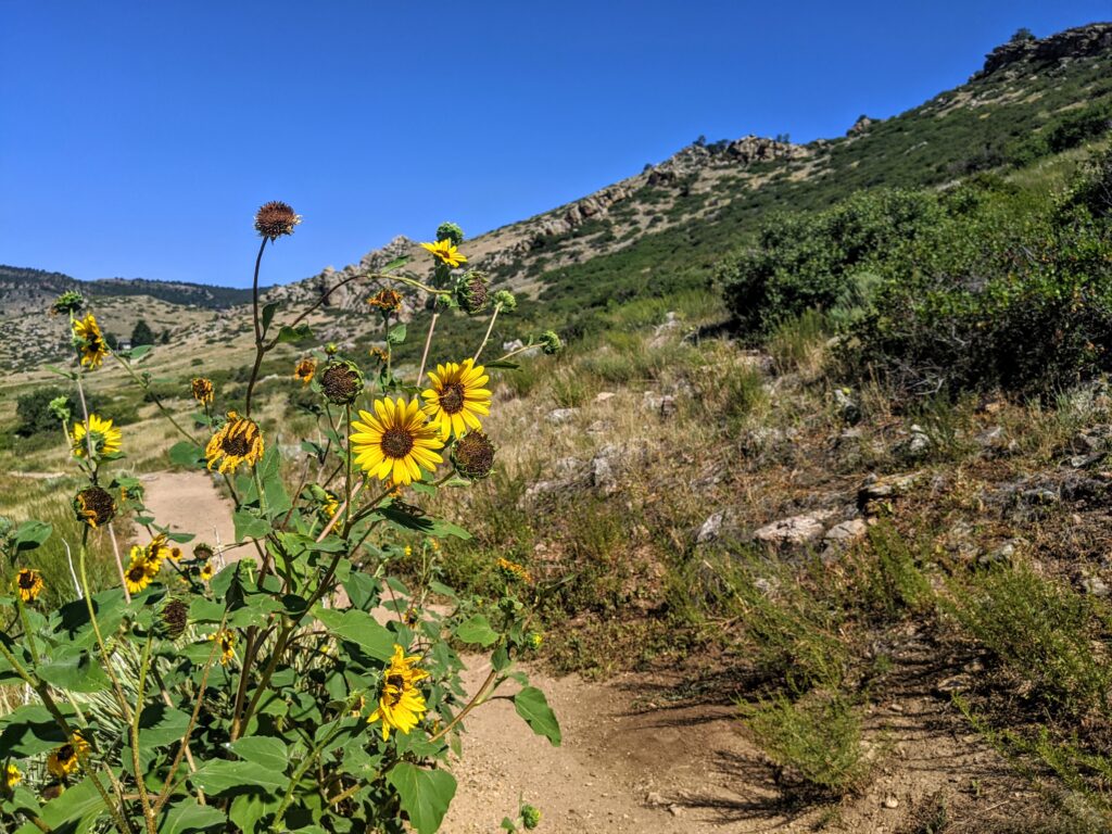 The Eagle Wind Trail at Rabbit Mountain in Lyons, CO.