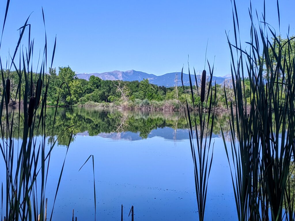 Golden Ponds in Longmont, CO.