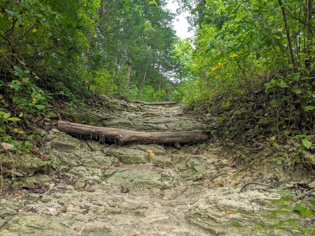 Looking up the Cedar Brake Loop trail at the Cedar Ridge Preserve in Dallas, TX.