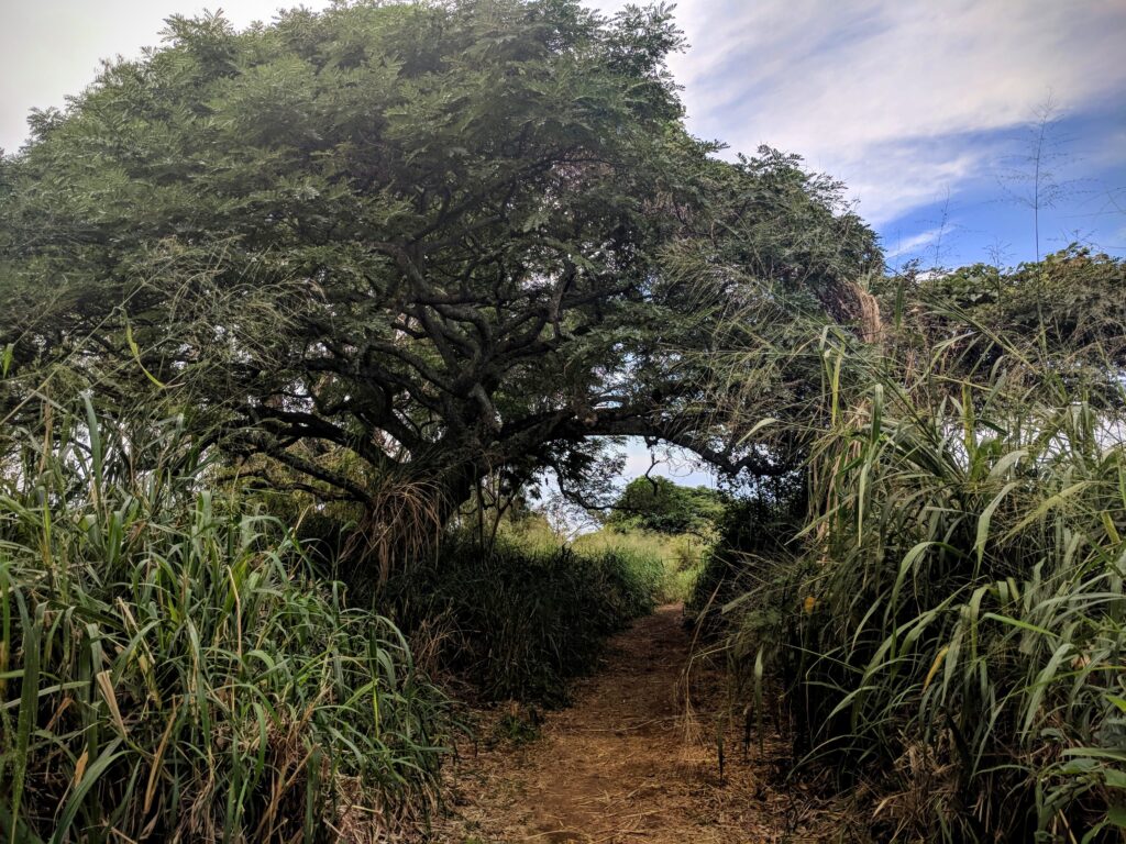 Captain Cook Monument Trail, Hawaii.