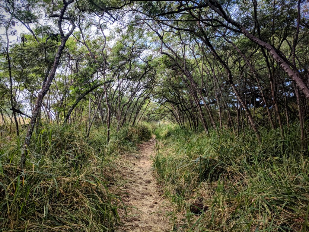 Captain Cook Monument Trail, Hawaii.