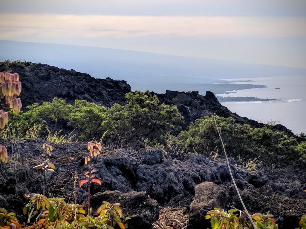 Overlooking the lava flows from the Captain Cook Monument Trail, Hawaii.