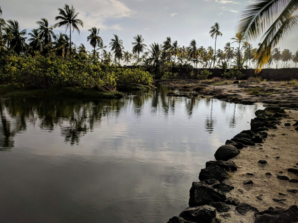 Pu'uhonua O Honaunau National Historical Park.