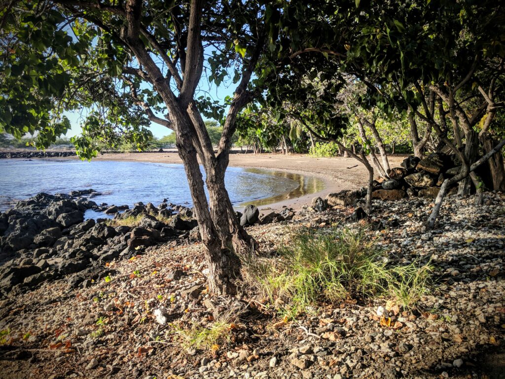 Lapakahi State Historical Park.