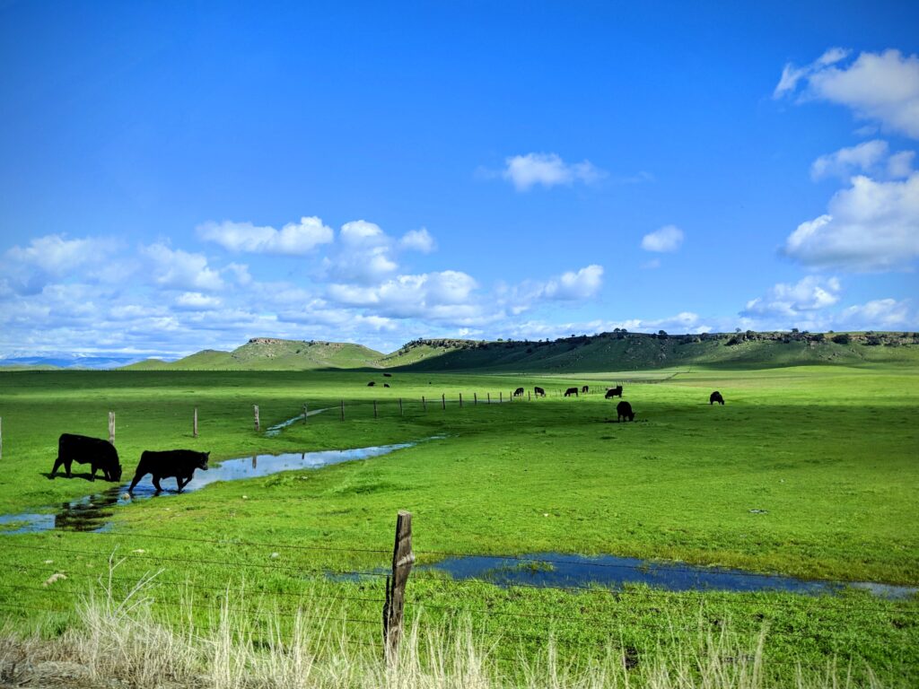 A warm February day just outside of Fresno, CA.