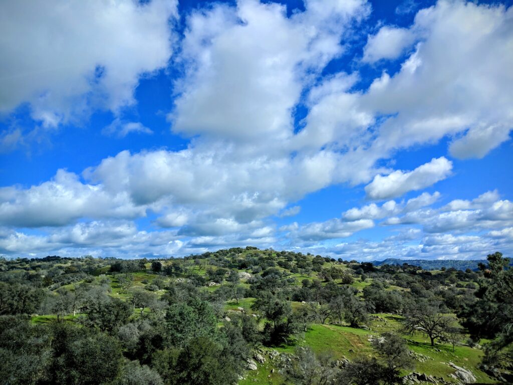 A warm February day just outside of Fresno, CA.