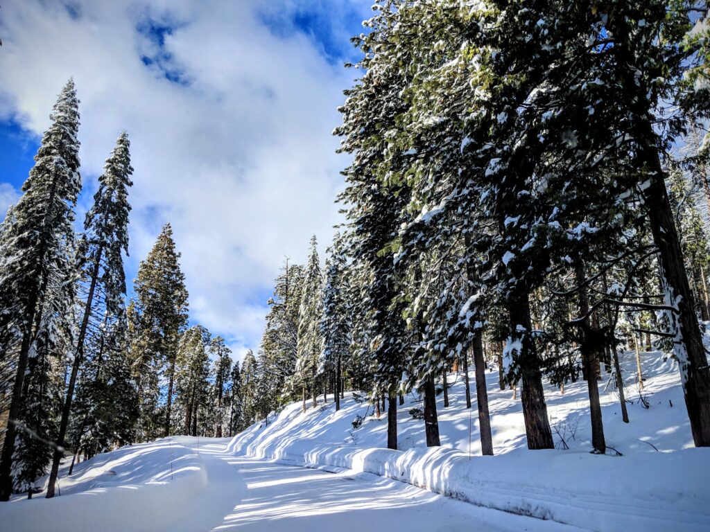 Road to Yosemite.