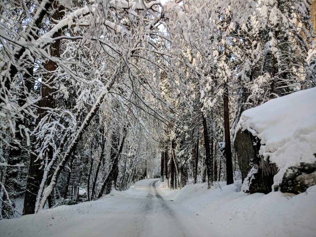 Road as we approached the lodges at Yosemite.