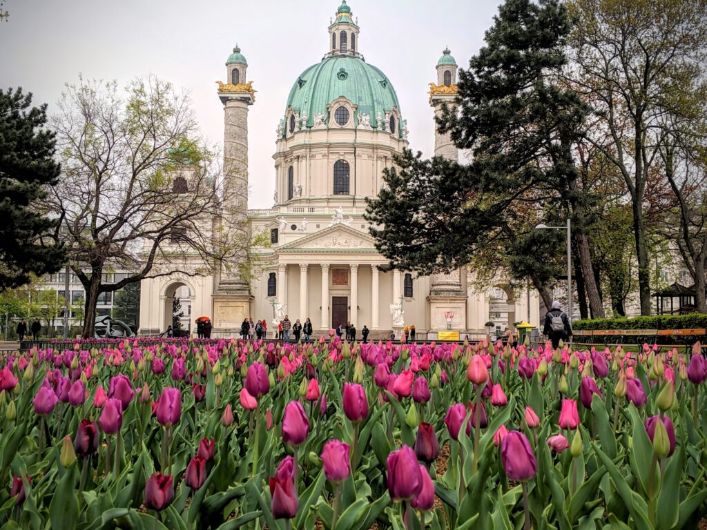 Tulips in front of Karlskirche in Vienna, Austria.